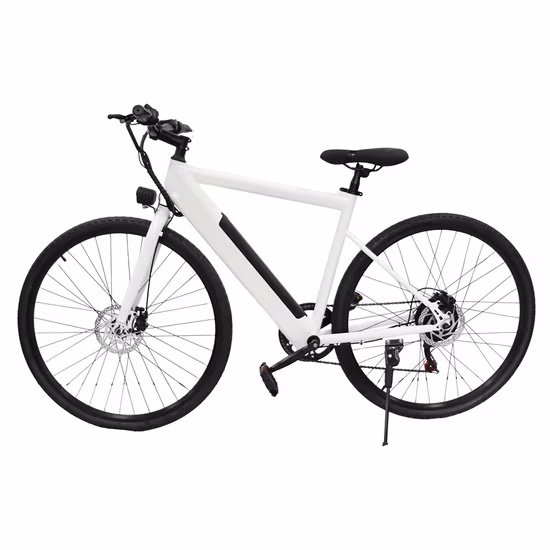 Vagão 36V 250W/48V 500W MÉDIO