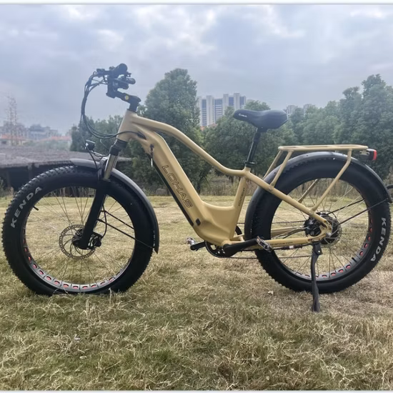 Pneu gordo MTB 26 * 4.0 350 W * 2 motores de cubo duplo bicicleta elétrica